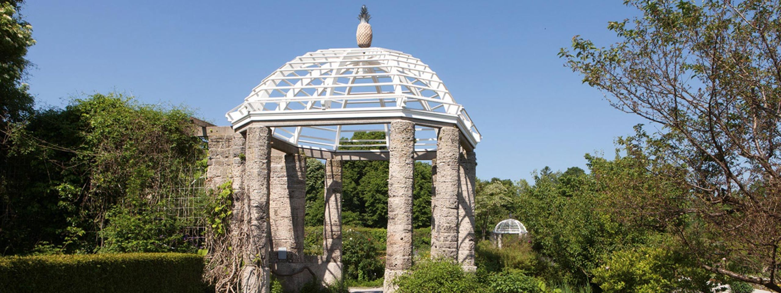 Botanischer Garten München