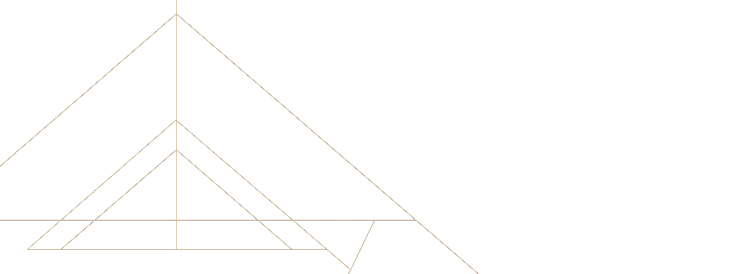 Frank Zimmerei und Holzbau GmbH&Co.KG München - Header Linien